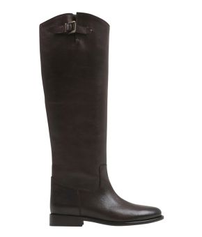 bronx-136497-bruin 1